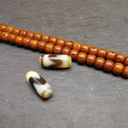 Gandhanra Pair of Tibetan Tiger Tooth Dzi Spacer Marker Beads for Mala,Necklace,0.32"