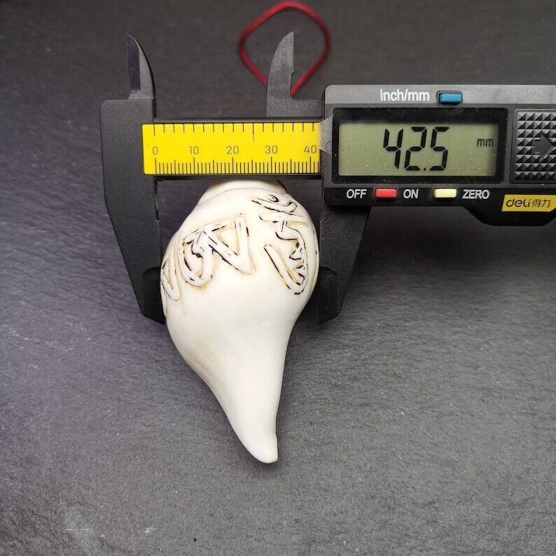 White Conch Shankha 3.31" - Tibetan Buddhist art, view 9