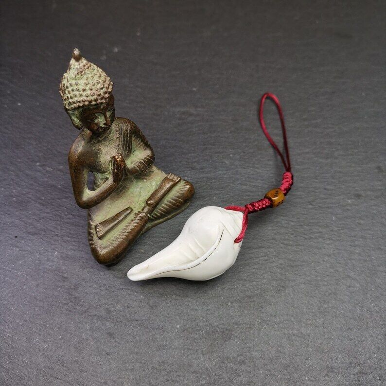 White Conch Shankha 2.2"×1.14"