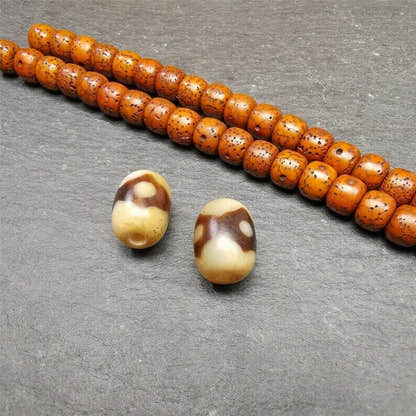 3 Eyes Dzi Spacer Marker Beads 0.4" - Tibetan dzi bead, view 4