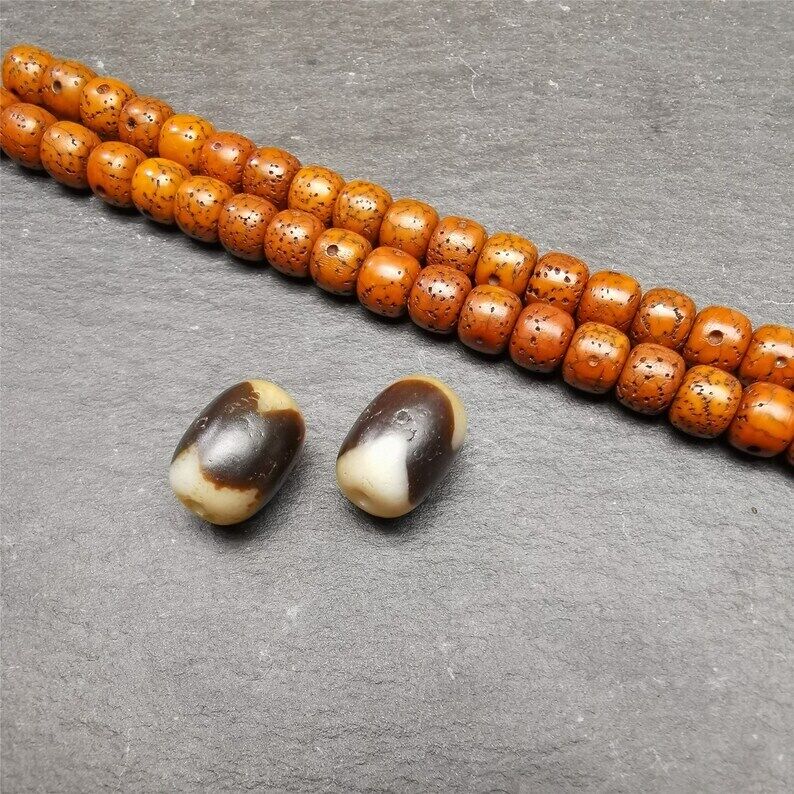 Tibetan Agate *Tiger fashion Teeth* Amulet Dzi