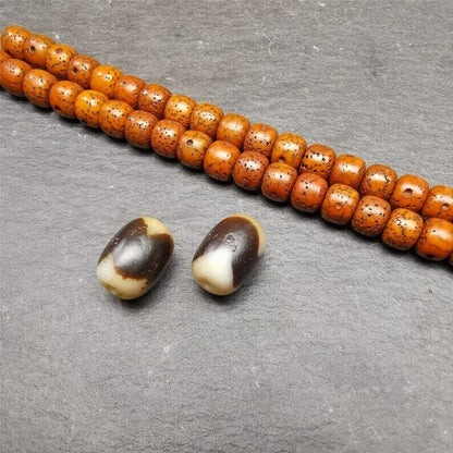 Gandhanra Pair of Tibetan Tiger Tooth Dzi Spacer Marker Beads for Mala,Necklace,0.4"