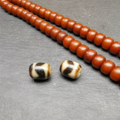Pair of Tibetan Tiger Tooth Dzi Spacer Marker Beads for Mala,Necklace,0.42" - Tibetan Buddhist mala beads, close-up detail
