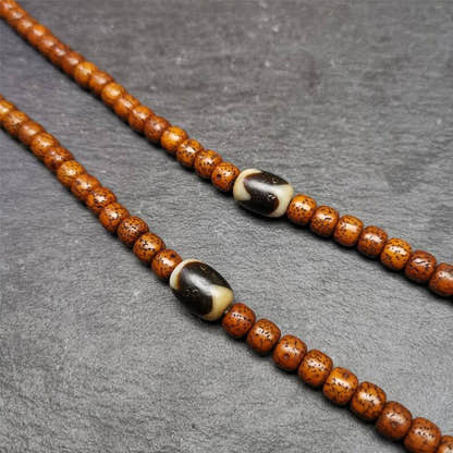 Tiger Tooth Dzi Spacer Marker Beads 0.4" - Tibetan dzi bead, detailed view