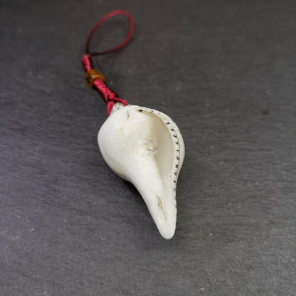 White Conch Shankha 2.28" - Tibetan Buddhist art, view 5