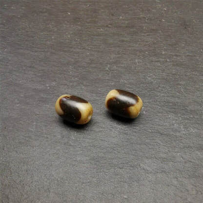 Tiger Tooth Dzi Spacer Marker Beads 0.4" - Tibetan dzi bead, view 7