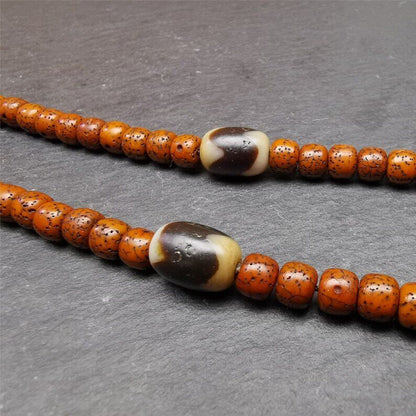 Gandhanra Pair of Tibetan Tiger Tooth Dzi Spacer Marker Beads for Mala,Necklace,0.4"