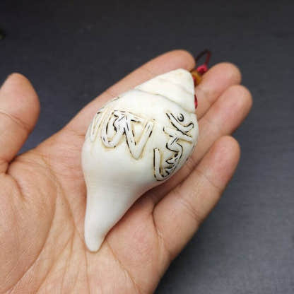 White Conch Shankha 3.31" - Tibetan Buddhist art, view 7