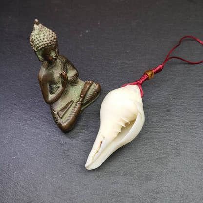 White Conch Shankha 3.15" - Tibetan Buddhist art, view 4