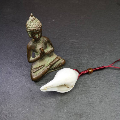 White Conch Shankha 2.36"×1.18"