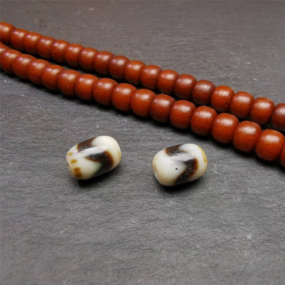 Gandhanra Pair of Tibetan Tiger Tooth Dzi Spacer Marker Beads for Mala,Necklace,0.42"