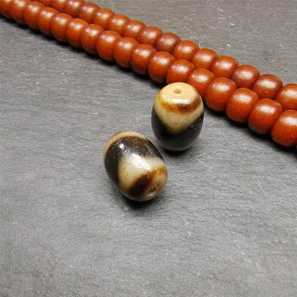 Tiger Tooth Dzi Spacer Marker Beads 0.51" - Tibetan dzi bead, view 6