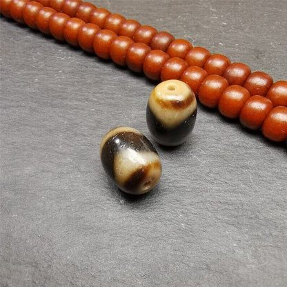 Gandhanra Pair of Tibetan Tiger Tooth Dzi Spacer Marker Beads for Mala,Necklace,0.51"