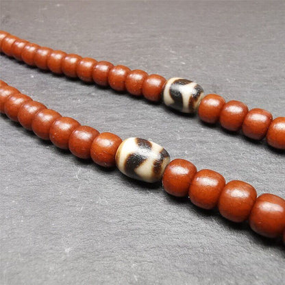 Gandhanra Pair of Tibetan Tiger Tooth Dzi Spacer Marker Beads for Mala,Necklace,0.42"