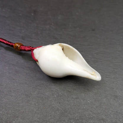 White Conch Shankha 2.36" - Tibetan Buddhist art, view 5