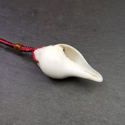 White Conch Shankha 2.36"×1.18"