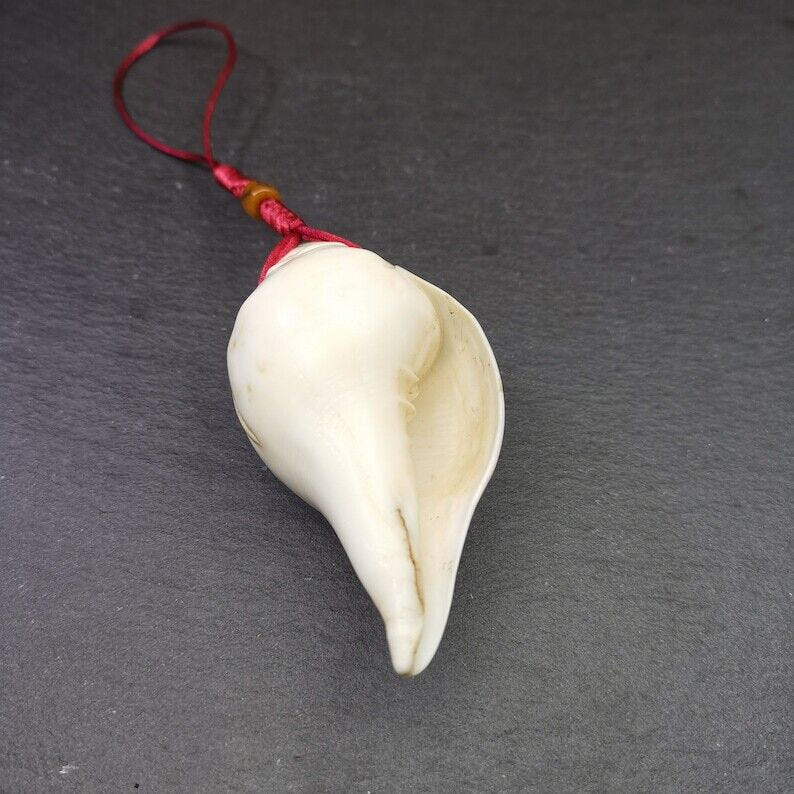 White Conch Shankha 3.31" - Tibetan Buddhist art, view 6
