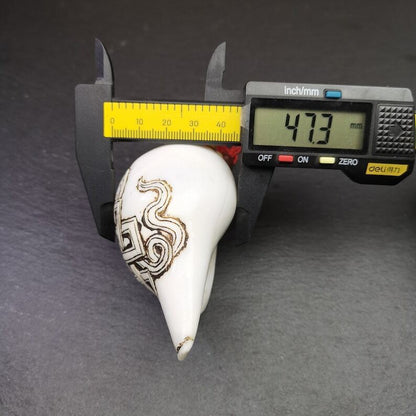 White Conch Shankha 3.66"×2.17"