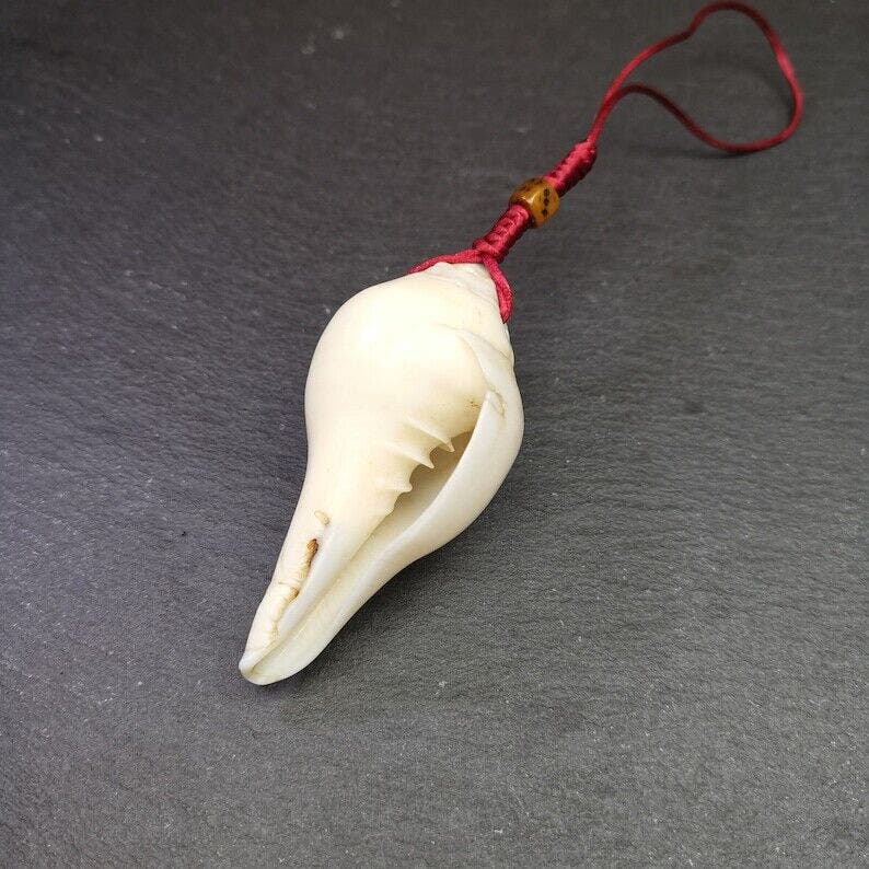 White Conch Shankha 3.15" - Tibetan Buddhist art, view 5