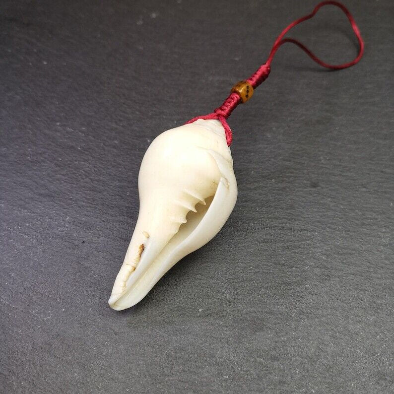 White Conch Shankha 3.15" - Tibetan Buddhist art, view 5