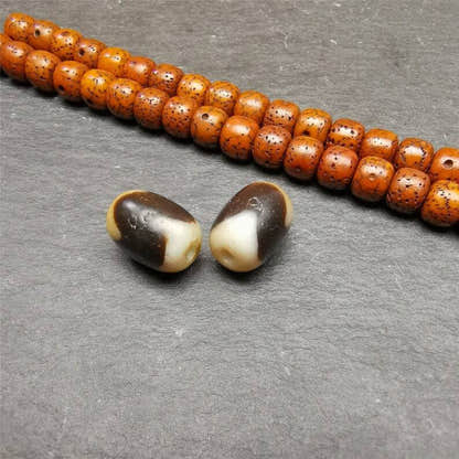 Tiger Tooth Dzi Spacer Marker Beads 0.4" - Tibetan dzi bead, view 5