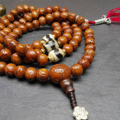 Authentic 10mm Dragon Eyes Bodhi Seed Mala : Old Tibetan Rosary 108 Prayer Beads - 50cm Stretched