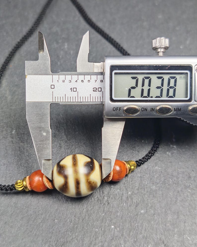 Authentic Tiger Tooth Darlo Dzi Choker - Tibetan Dzi Short Necklace - Decades Old