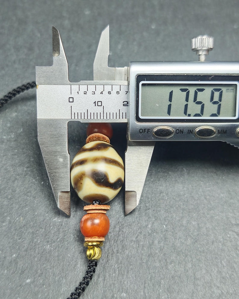 Authentic Tiger Tooth Darlo Dzi Choker - Tibetan Dzi Short Necklace - Decades Old