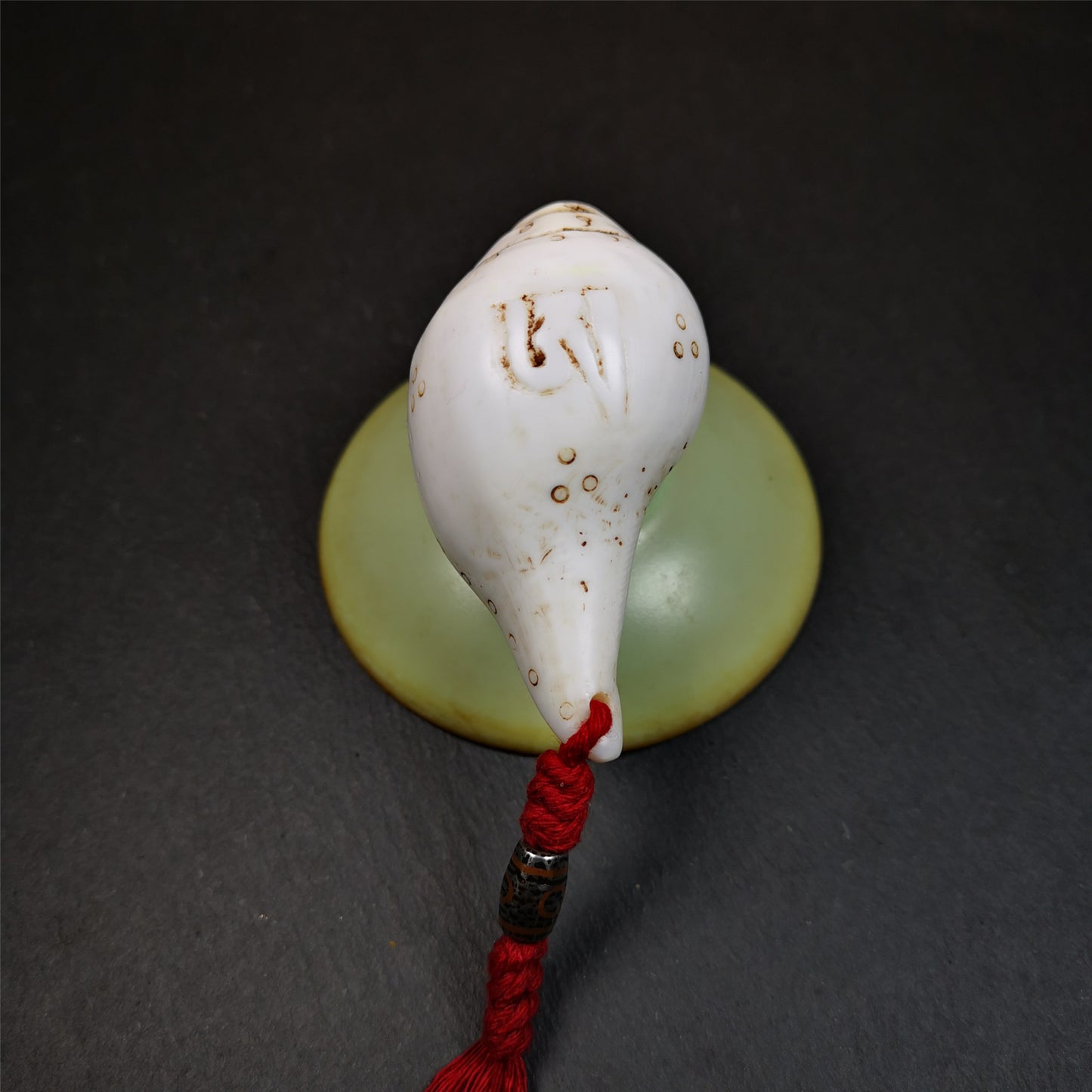 White Shankha Ritual 2.8"