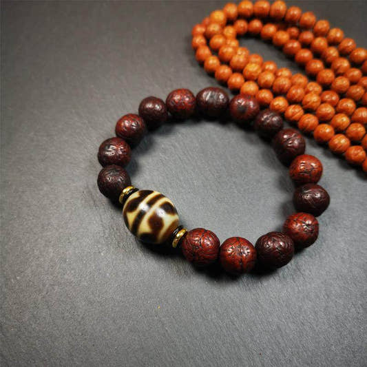 Tiger Tooth Dzi Bracelet - Tibetan dzi bead, front view