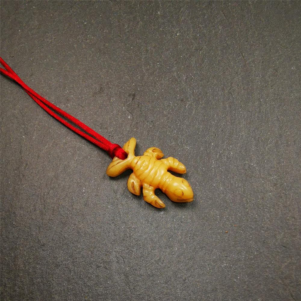 Bone Scorpion Amulet 1.2" - Tibetan Buddhist amulet, view 5