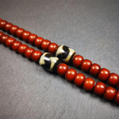 The list is a pair of tiger tooth dzi beads. These dzi beads were made in Tibet,can be used as marker beads for mala, or decorative beads on necklace or bracelet.