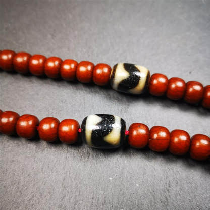 1 Pair of Tiger Tooth Dzi Beads 0.47" - Tibetan dzi bead, view 5