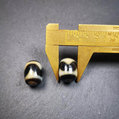 1 Pair of Tiger Tooth Dzi Beads 0.47" - Tibetan dzi bead, view 9