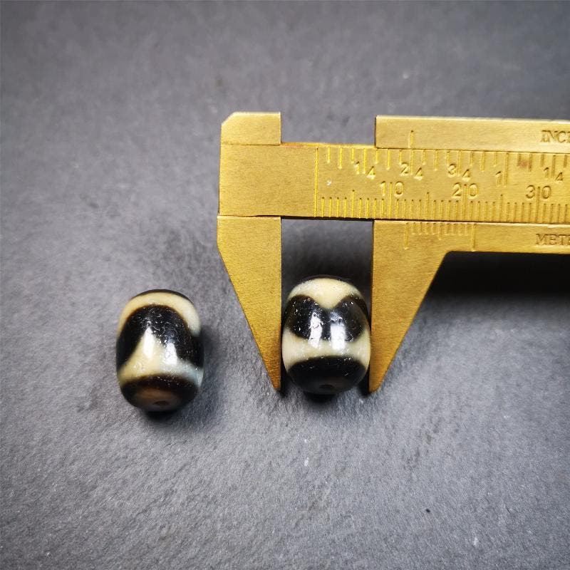 1 Pair of Tiger Tooth Dzi Beads 0.47" - Tibetan dzi bead, view 9