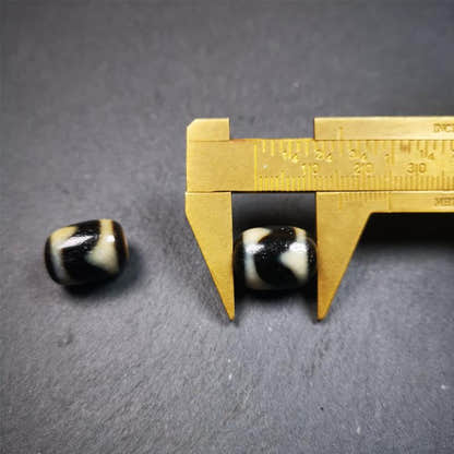 1 Pair of Tiger Tooth Dzi Beads 0.47" - Tibetan dzi bead, size reference