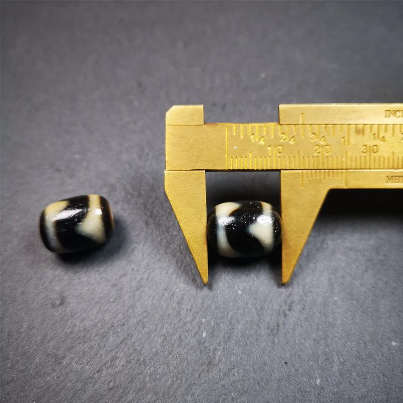 1 Pair of Tiger Tooth Dzi Beads 0.47" - Tibetan dzi bead, size reference