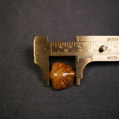 Scorpion Bead Amulet 0.8" - Tibetan Buddhist amulet, size reference