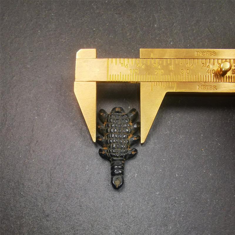 Obsidian Scorpion Amulet 1.38" - Tibetan Buddhist amulet, size reference
