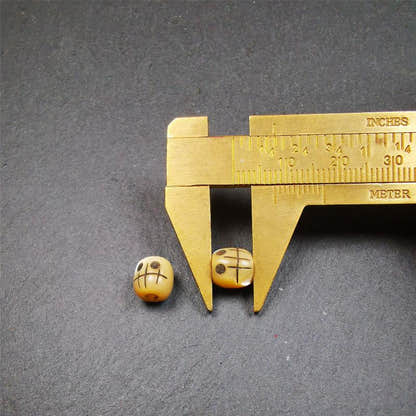 1 Pair of Fish Bone Skull Beads 0.3" - Tibetan Buddhist art, size reference