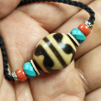 Tiger Tooth Dzi Bead Collarbone Pendant Necklace 20*18mm