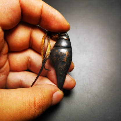Shankha Divine Conch Amulet - Tibetan Buddhist amulet, view 8