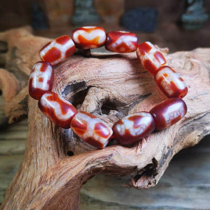 Fire Agate Dzi Bead Bracelet - Tibetan Buddhist mala beads, detailed view