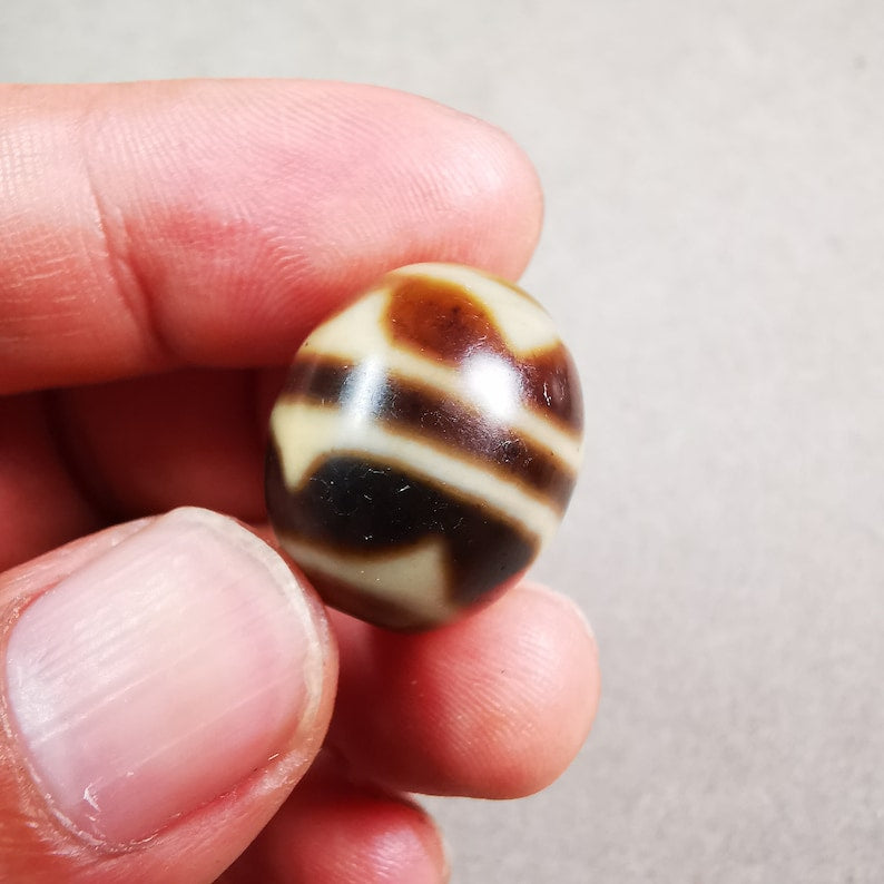 Tiger Tooth Dalo Dzi Bead