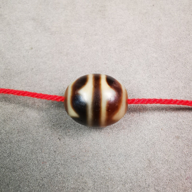 Tiger Tooth Dalo Dzi Bead