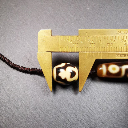 Dzi Beads Necklace,Nine Eyed Dzi + Treasure Vase Dalo Dzi Beads, 30 Years Old Gandhanra-ART