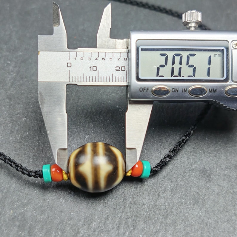 Tiger Tooth Dzi Bead Collarbone Pendant Necklace | 20*18mm