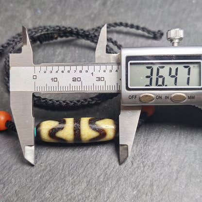 Authentic Tiger Tooth Dzi Bead Necklace 36*11mm - Tibetan Buddhist bead necklace, view 12