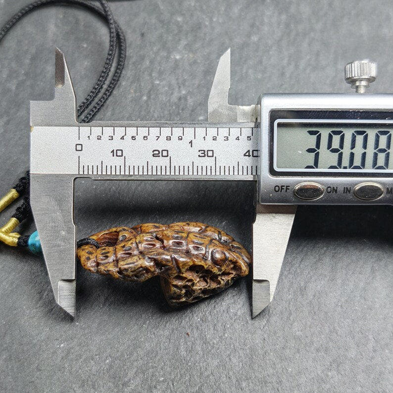 Antique Scorpion-shaped Kapala Amulet - 39mm - Tibetan Buddhist amulet, size reference