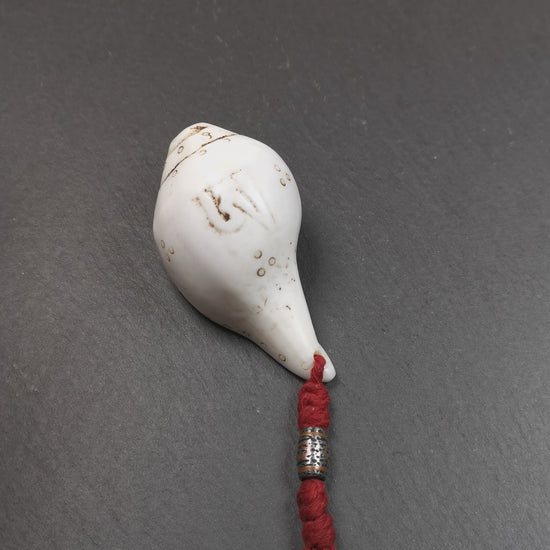 This conch ritual was hand carved by Tibetan craftsmen,collected from Gengqing Monastery,about 40 years old. It's made of conch, entirely hand-carved with tibetan letter OM and mantra dots,and there is an iron dzi bead hanging at the tail,very beautiful.